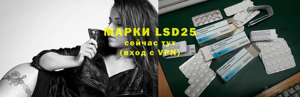 эйфоретик Аркадак