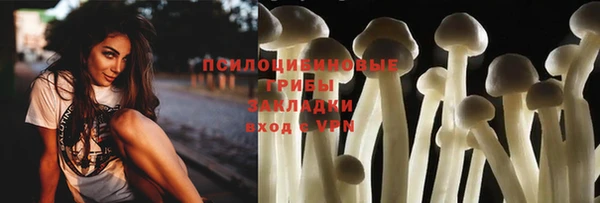 ПСИЛОЦИБИНОВЫЕ ГРИБЫ Переславль-Залесский