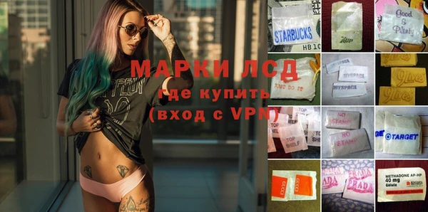 эйфоретик Аркадак