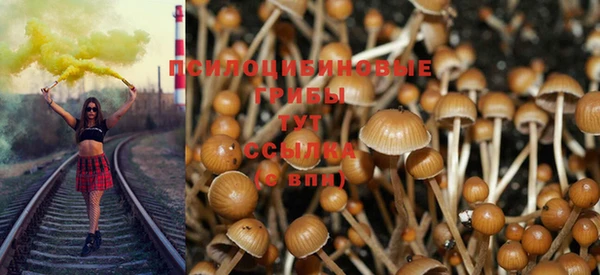a pvp Армянск