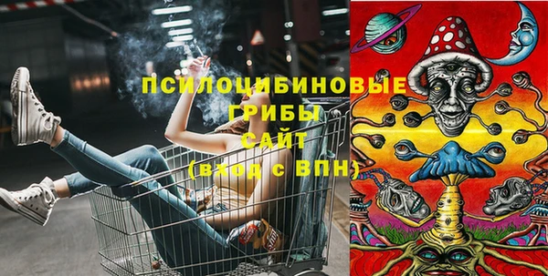 эйфоретик Аркадак