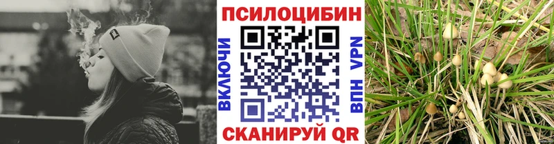 купить закладку  Сарапул  Галлюциногенные грибы мухоморы 